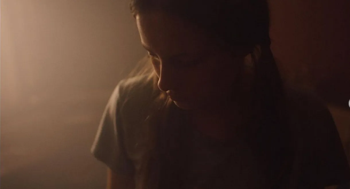 The Sun is Up Forever