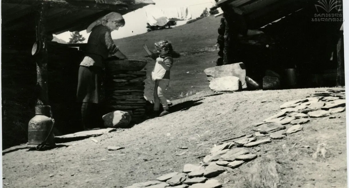 The Farm In Mountains