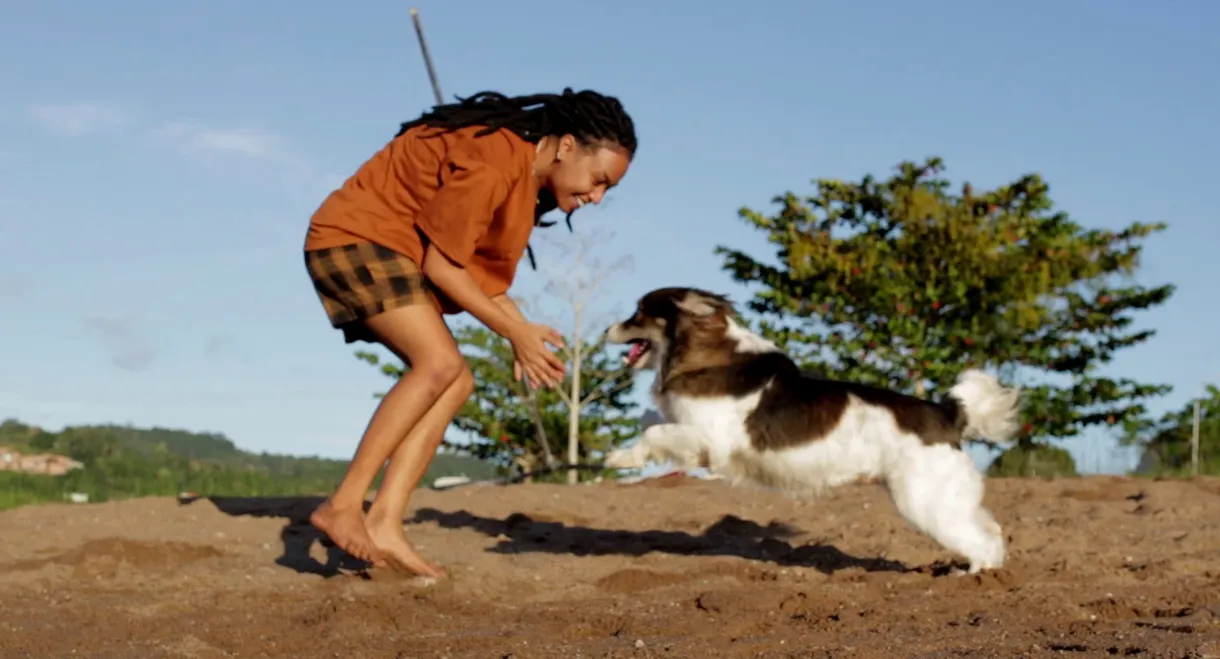 Beethoven's Symphony