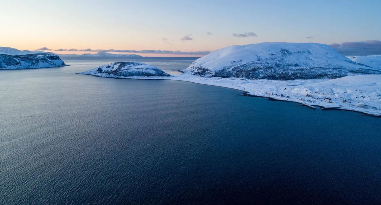 La Quête du sauvage
