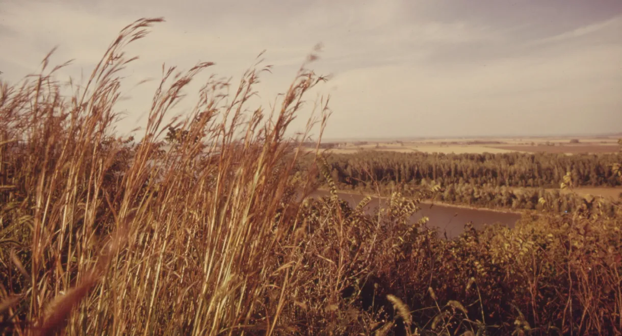 America's Lost Landscape: The Tallgrass Prairie