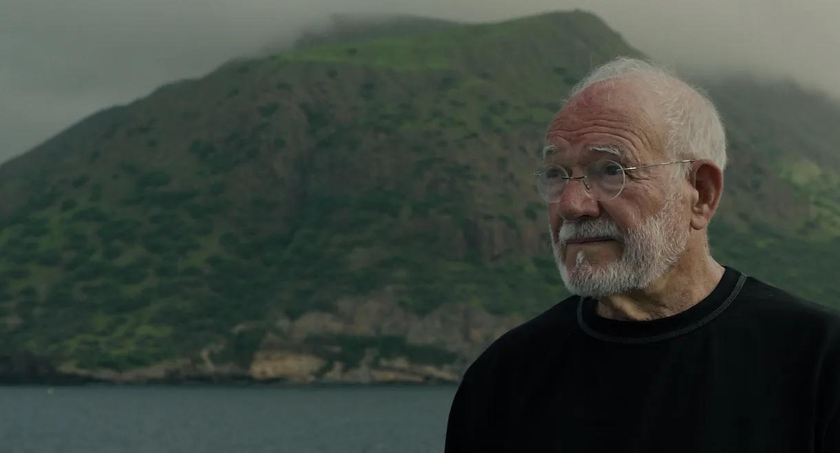 Chão Verde de Pássaros Escritos