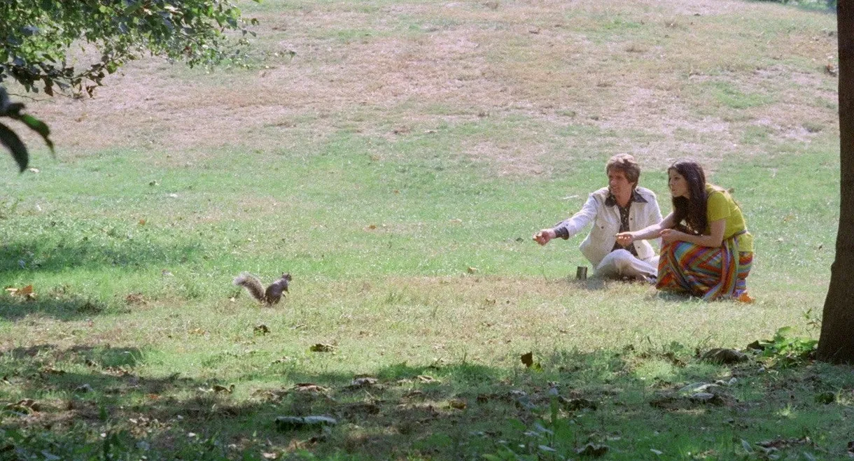 Virgin and the Lover