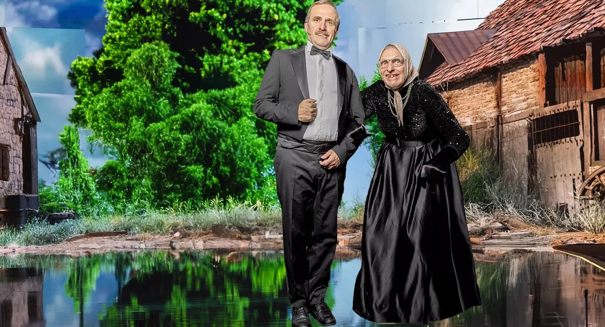 Les Bodin's en folie : La Soirée des 30 ans