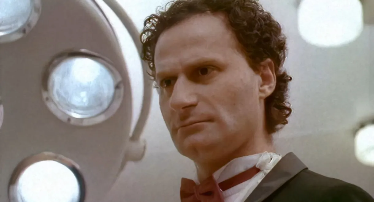 Operation 'Happy New Year'!