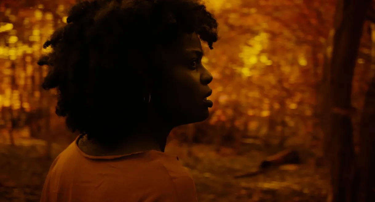 A Song from the Dark