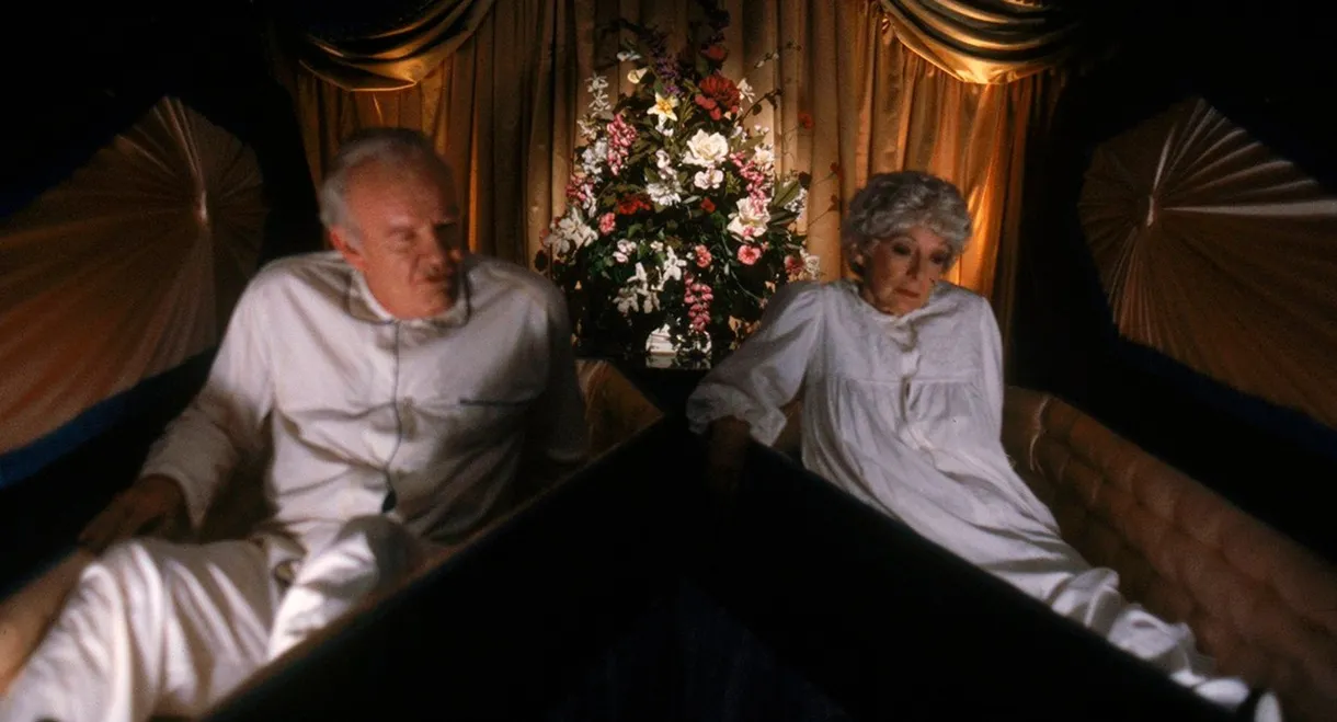 A Return to Salem's Lot