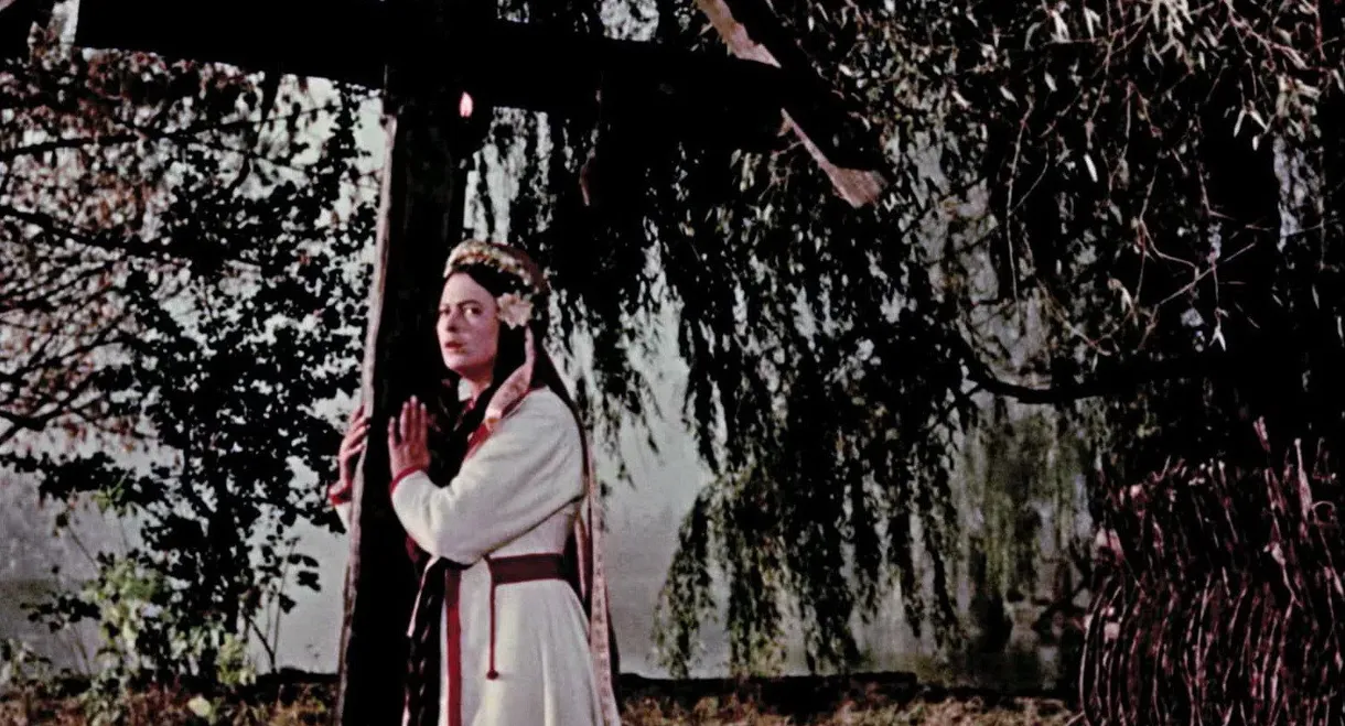 The Horse That Cried