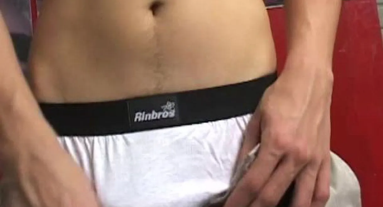 The Bulls of Guadalajara 4