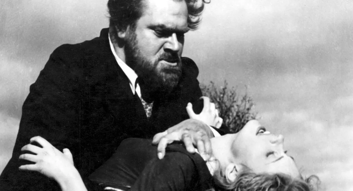 Roses Bloom on the Moorland