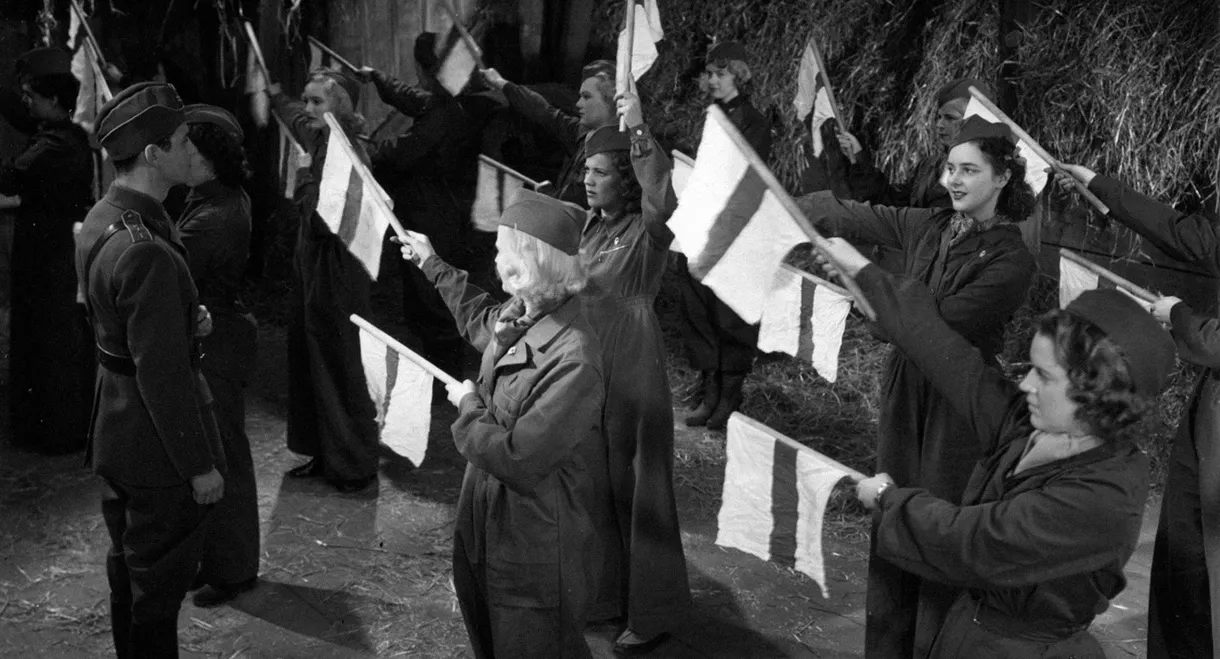 Landstormens lilla argbigga