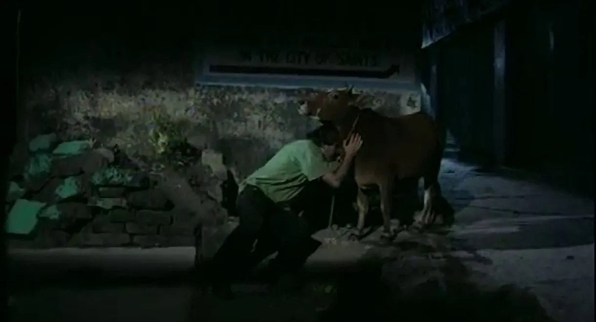 Letters from Rishikesh