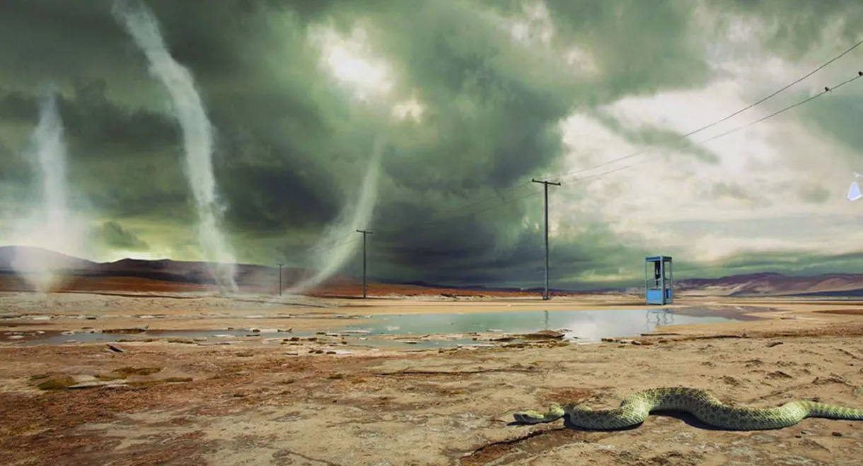 Rush: The Game Of Snakes & Arrows