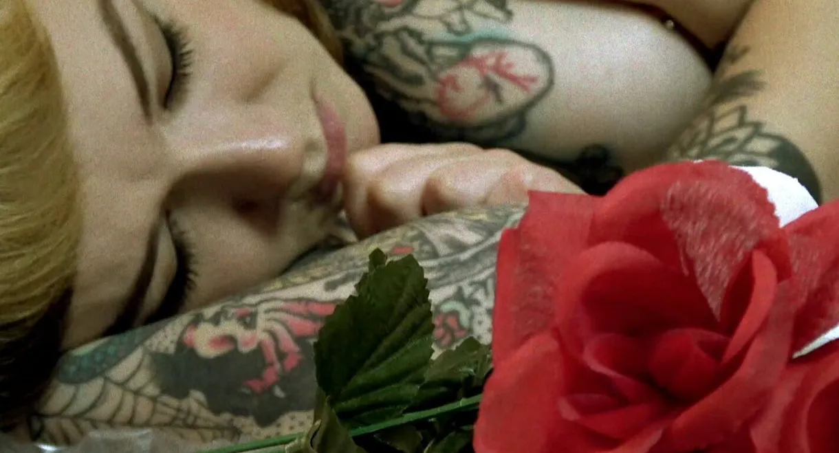 The Odd World of Felicia Fisher