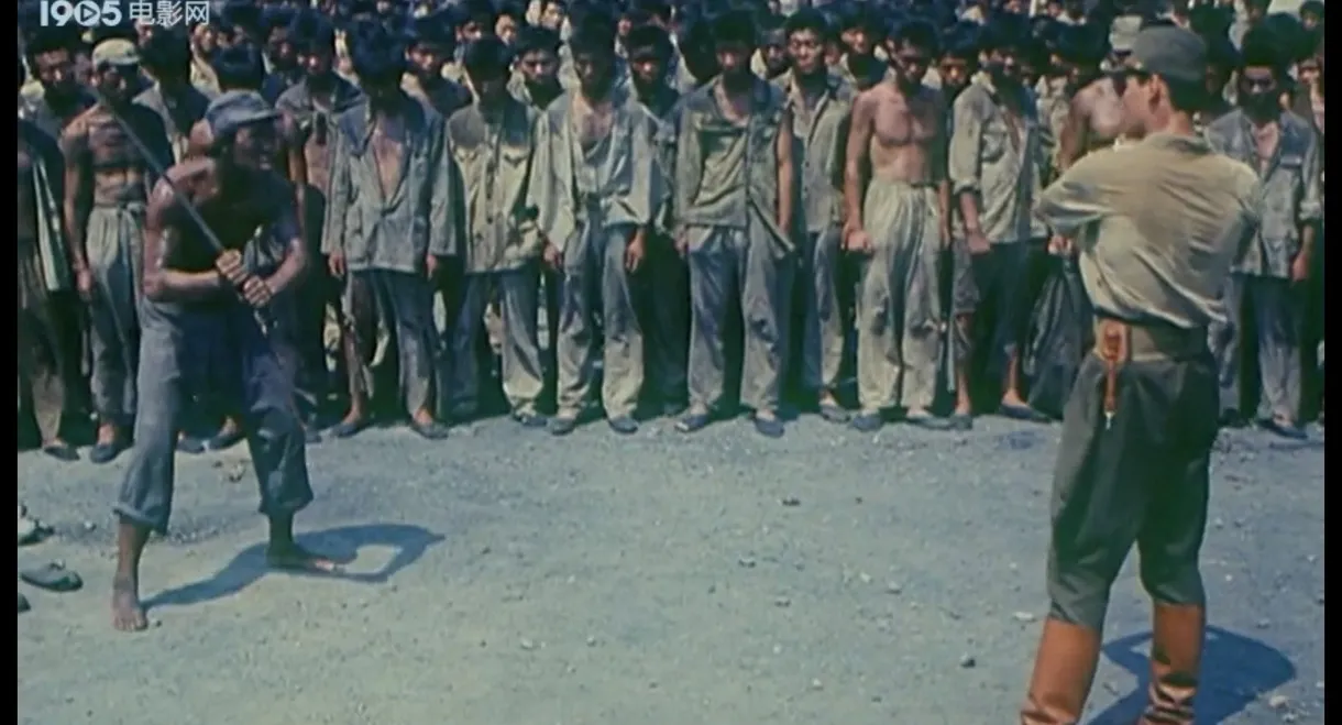 Breakout Out Of A Death Camp