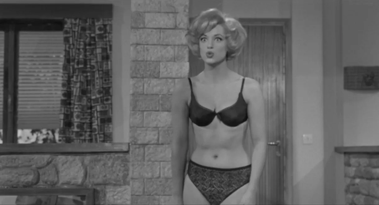 Adventure at the Motel