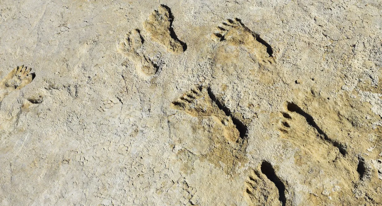 Ice Age Footprints