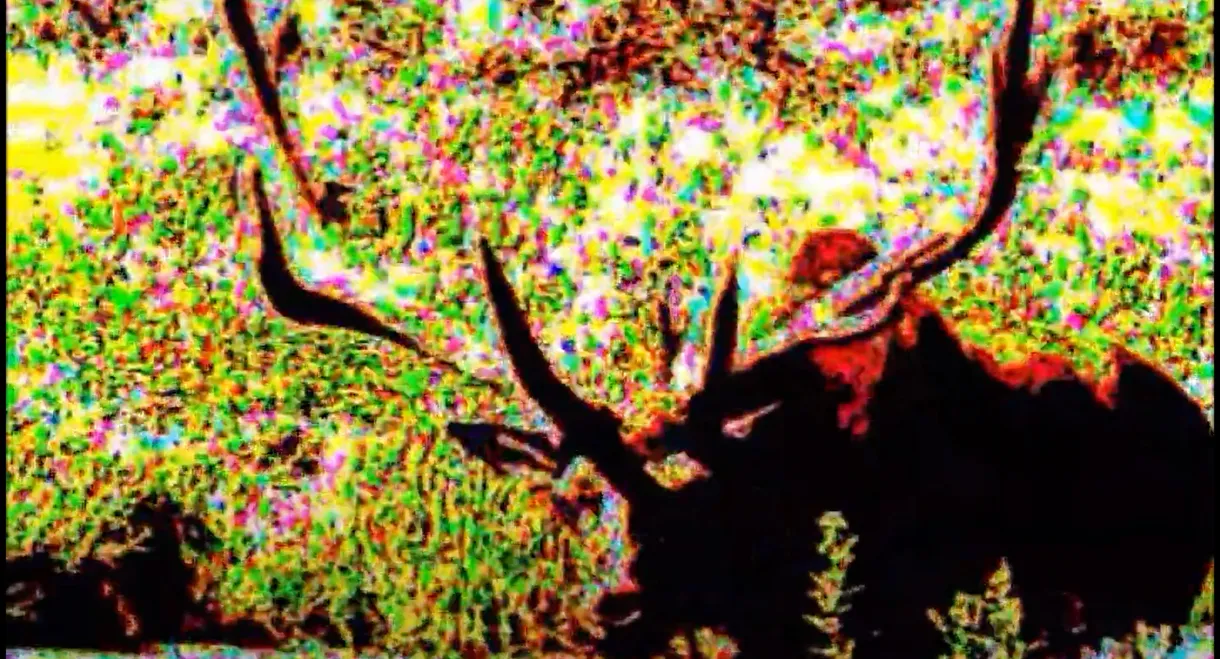 Thoughts from the Womb