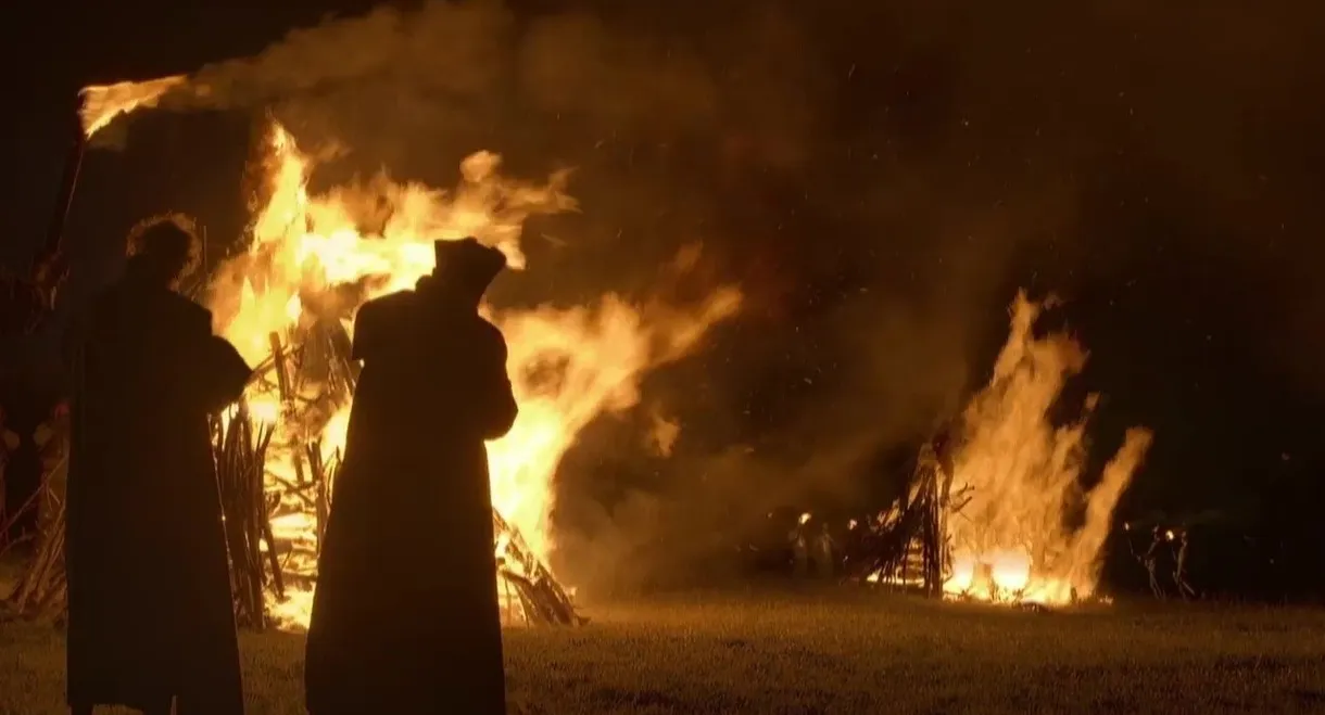 Sorcières : chronique d'un massacre