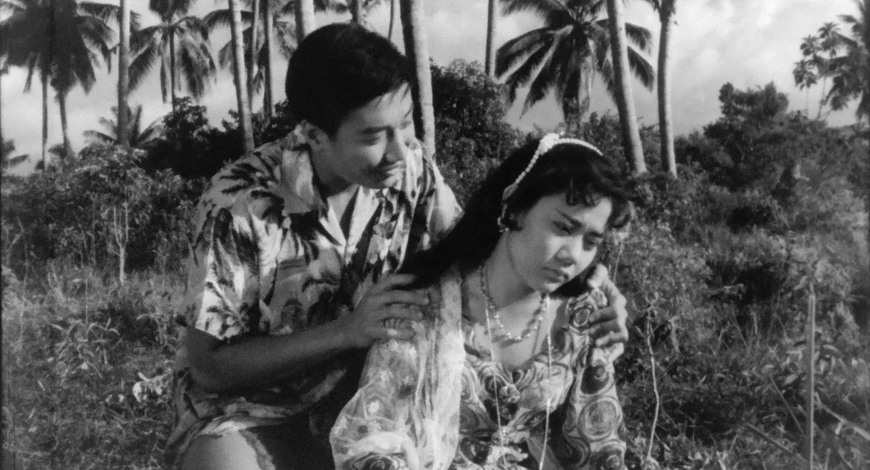 Blood Stains the Valley of Love