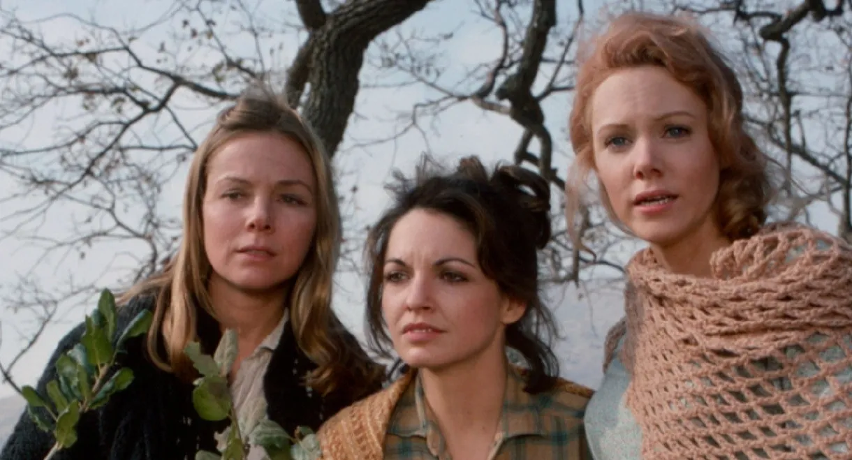 The New Daughters of Joshua Cabe