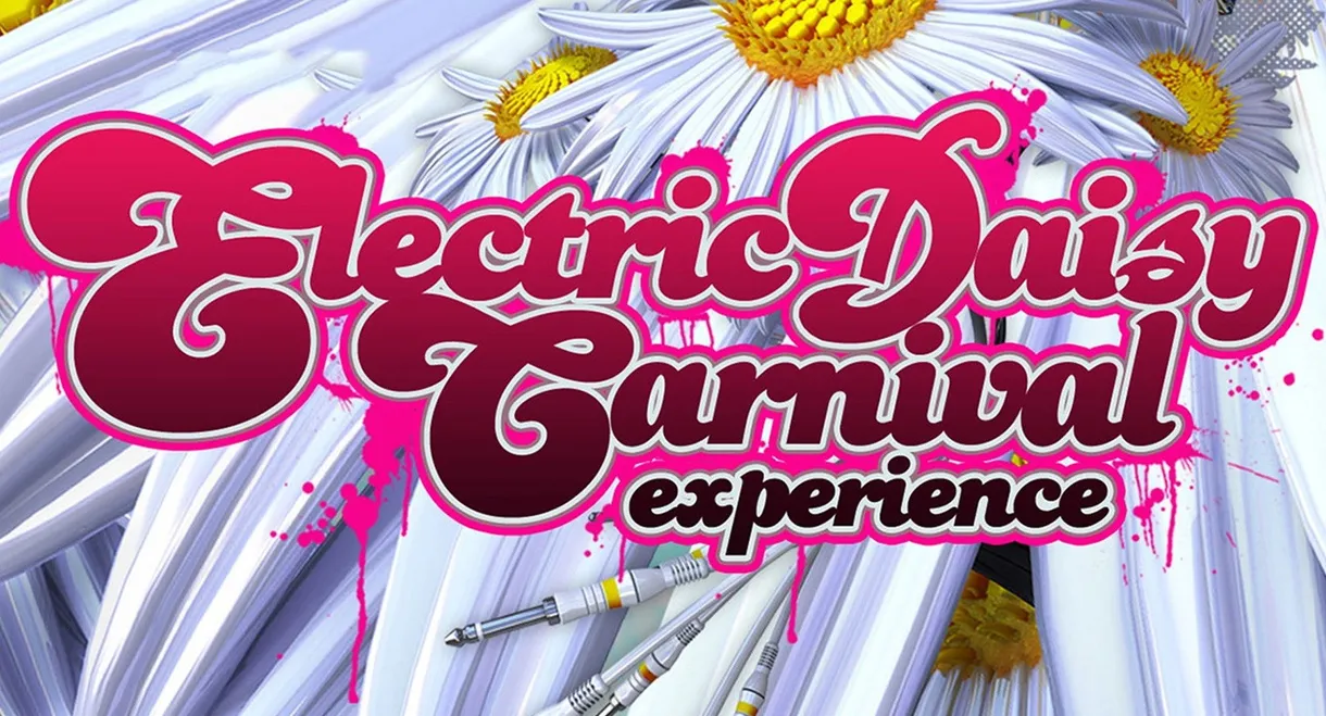 Electric Daisy Carnival Experience