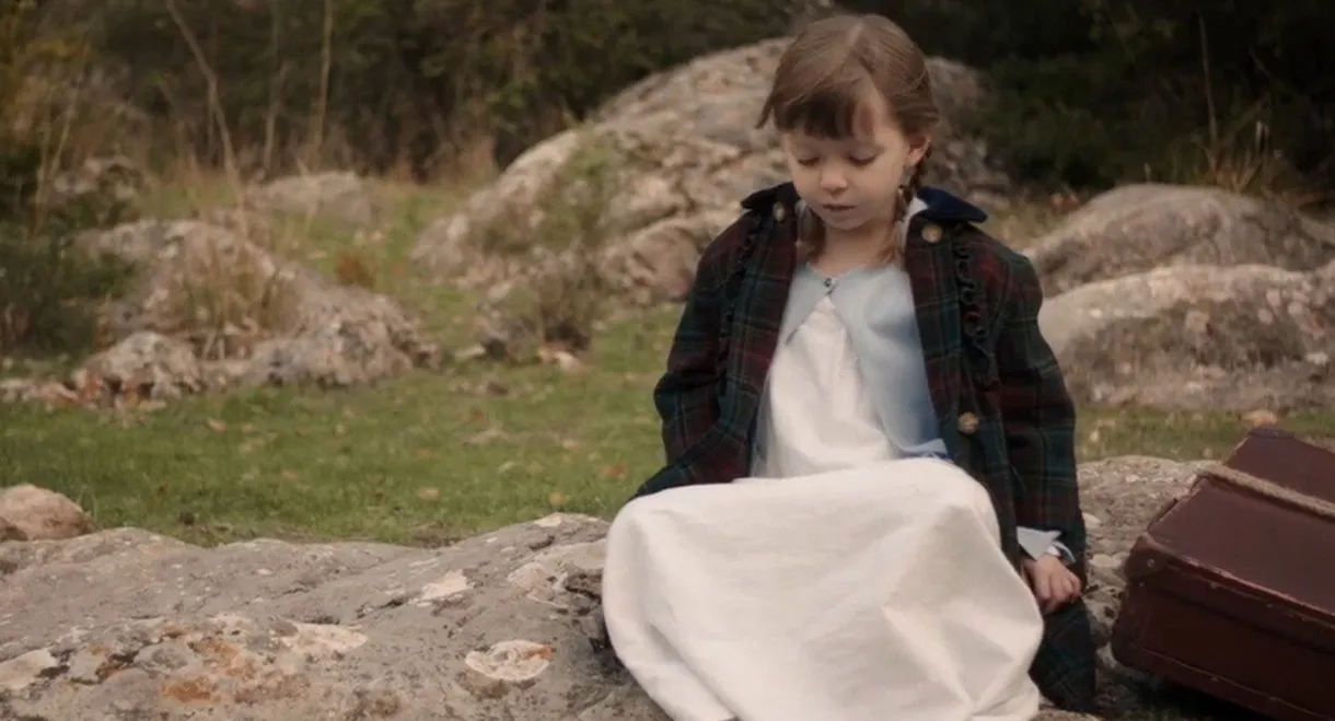 The Memory of Butterflies