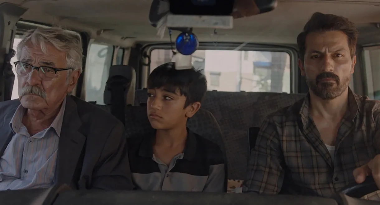 Like a Limbless Tree