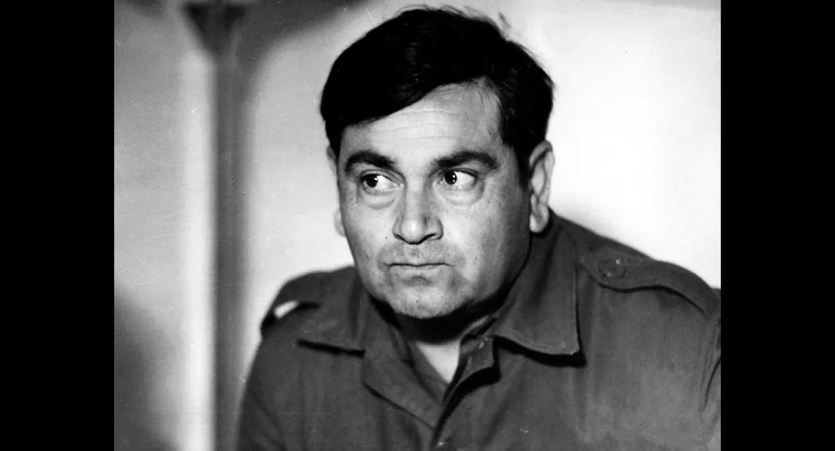 Los chiflados del batallón