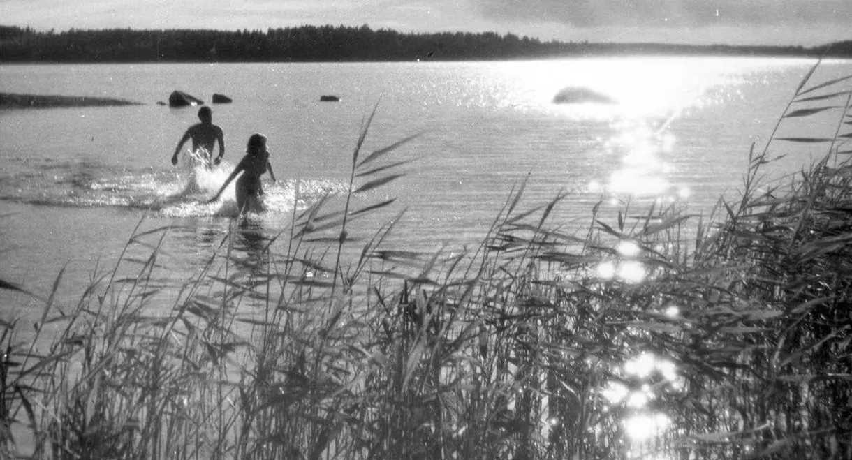 One Summer of Happiness