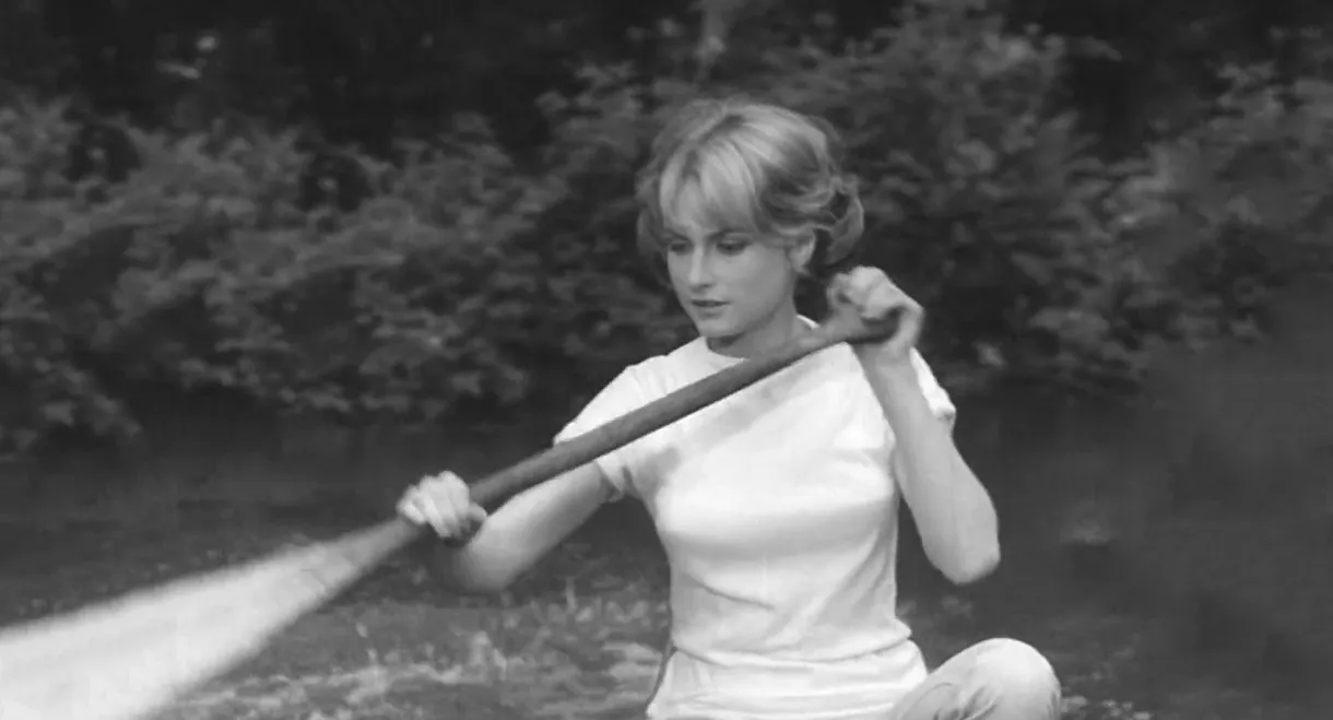 A Bullet in the Gun Barrel