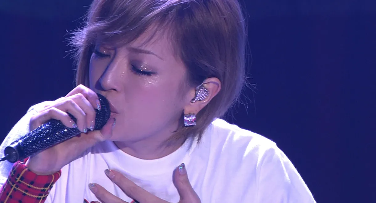 Ayumi Hamasaki Countdown Live 2007–2008 Anniversary