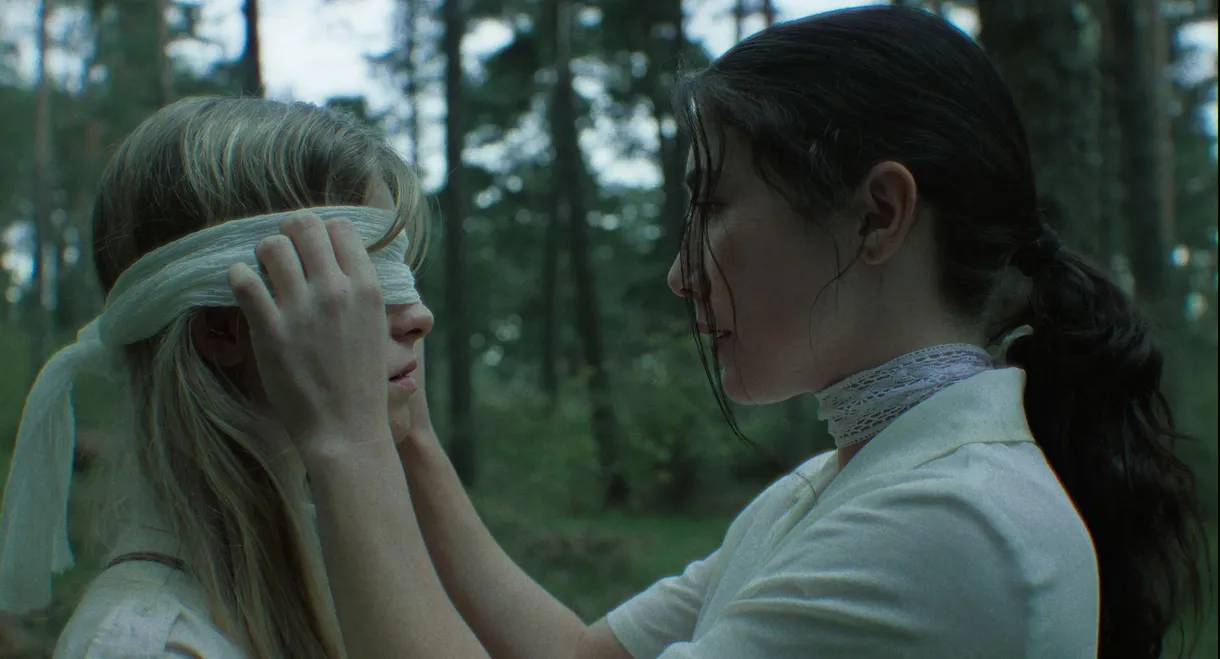 Esto no es una Metáfora