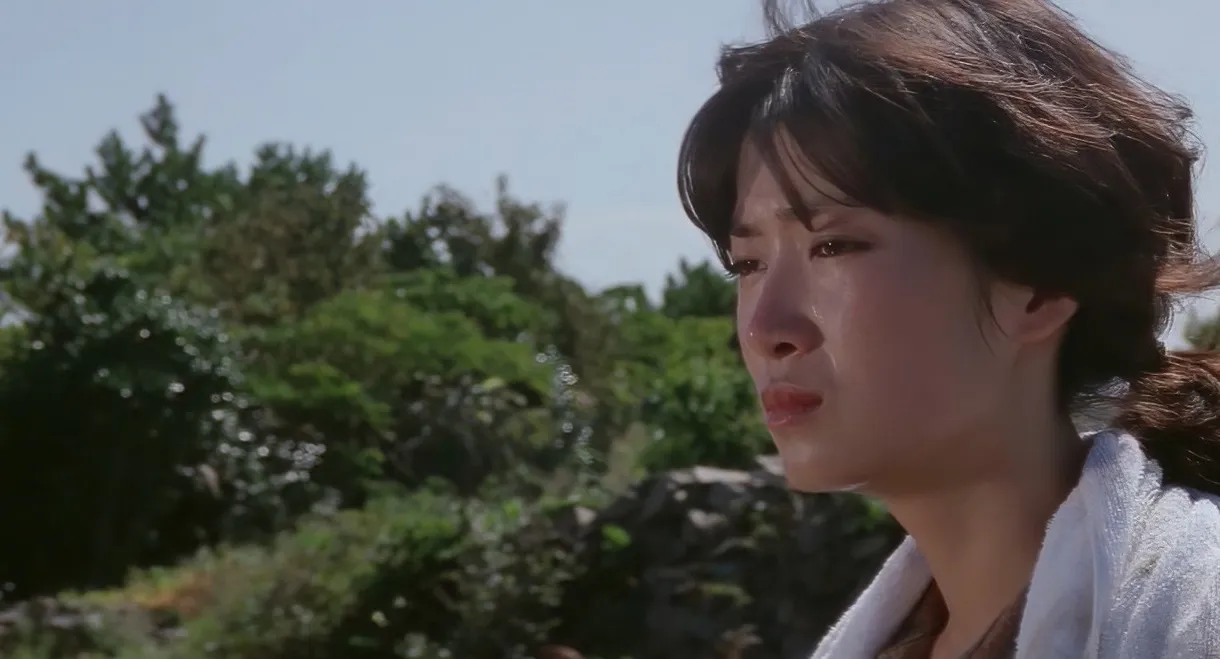 A White Feathered Gull