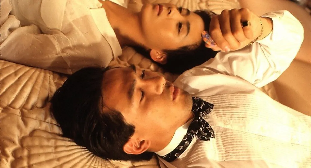 Camels Don't Cry Alone