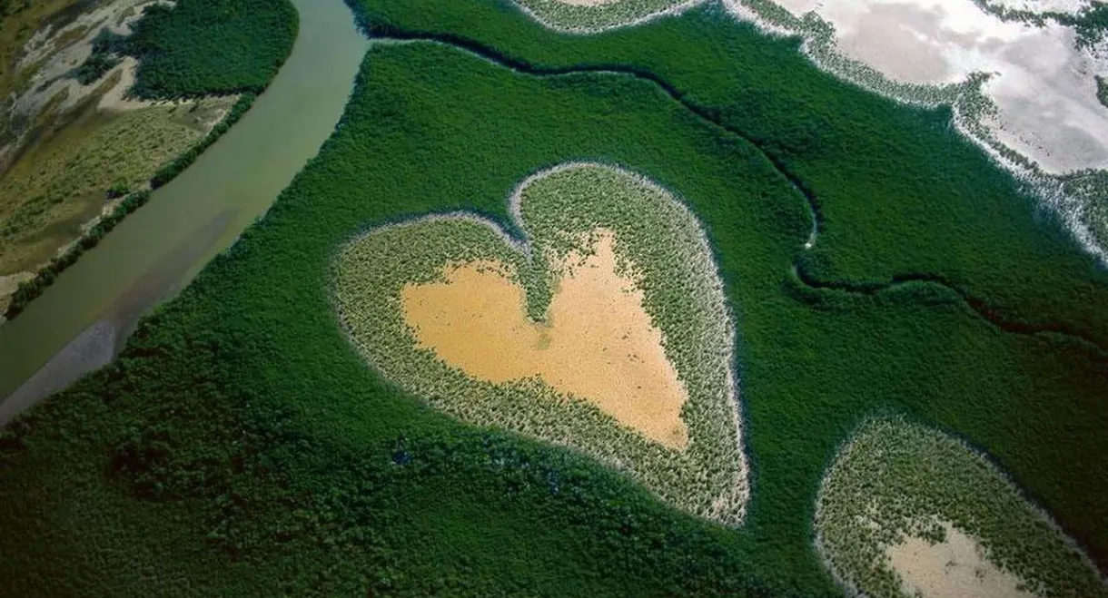 Earth from Above: Stunning Water