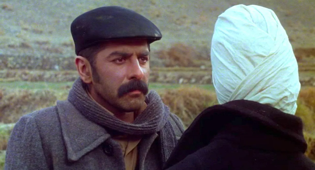 Tall Shadows of the Wind