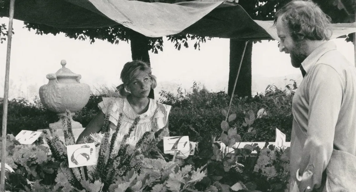 The Old Country Where Rimbaud Died