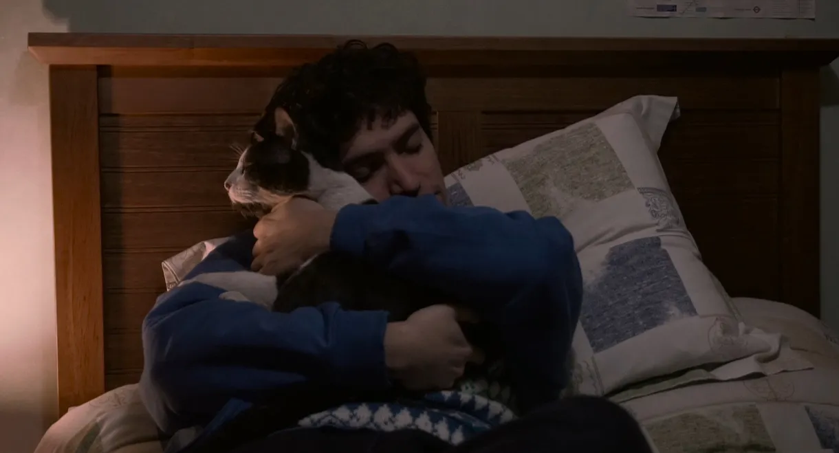 The Palm Trees (Documentary Niños del Cerro)