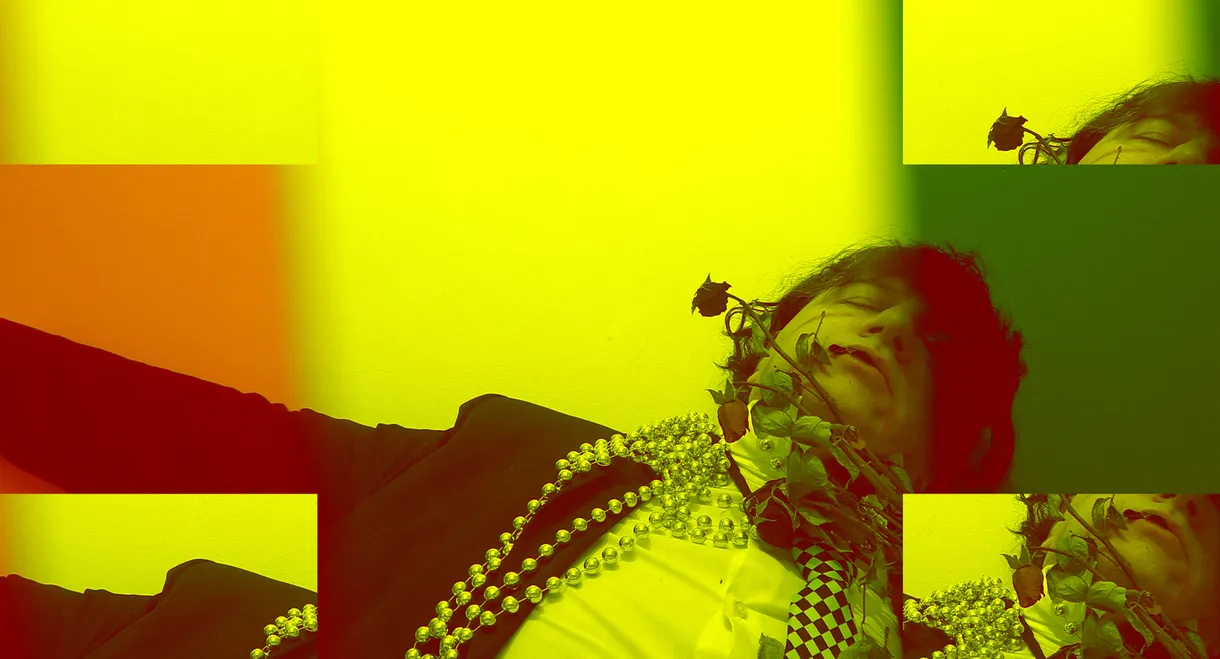 Sono sfiorite le rose