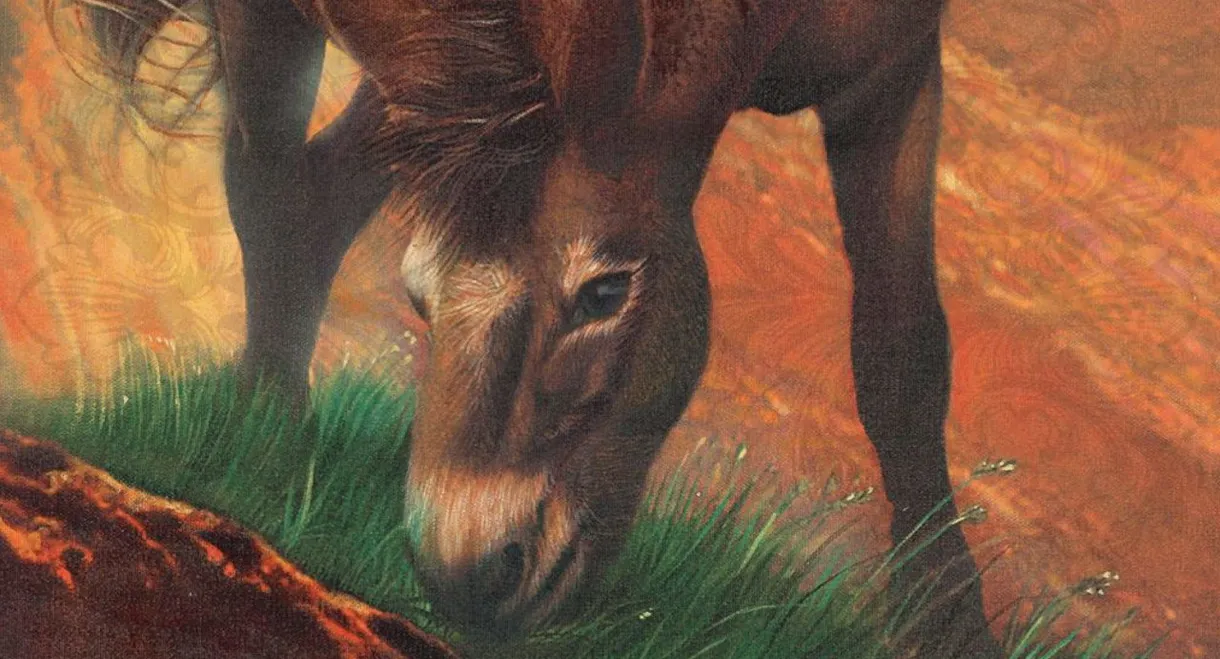 Brighty of the Grand Canyon