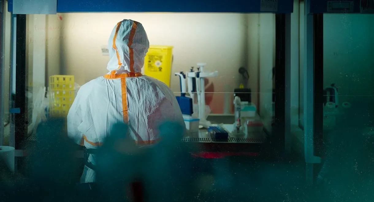 Covid, le secret des origines