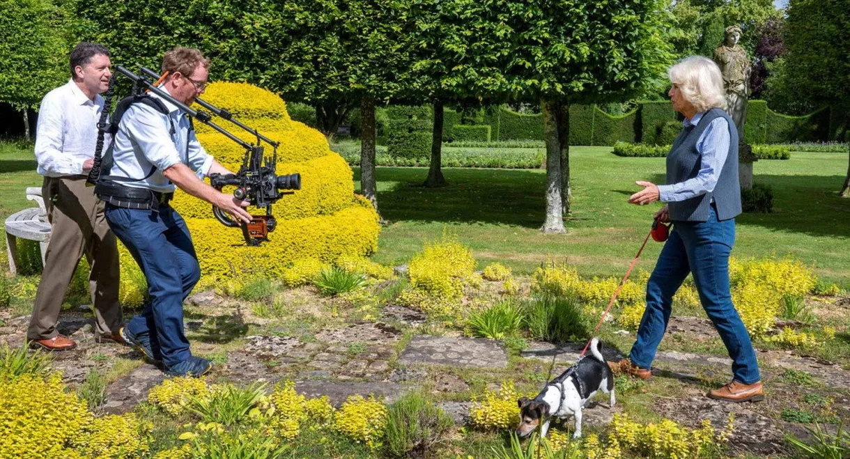 Camilla's Country Life