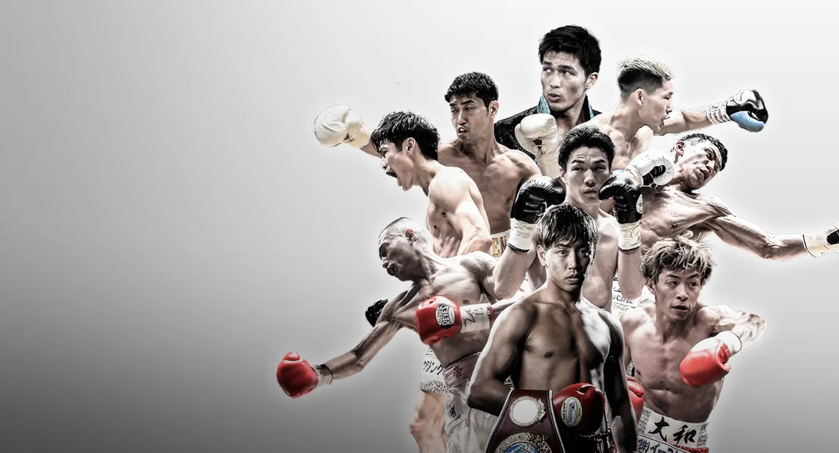 WHO'S NEXT DYNAMIC GLOVE BOXING vol.30