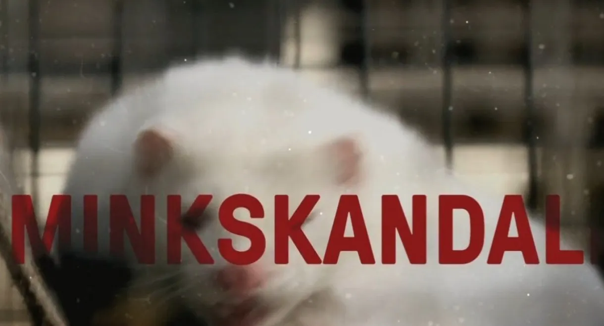 Minkskandalen - Afgørelsens time