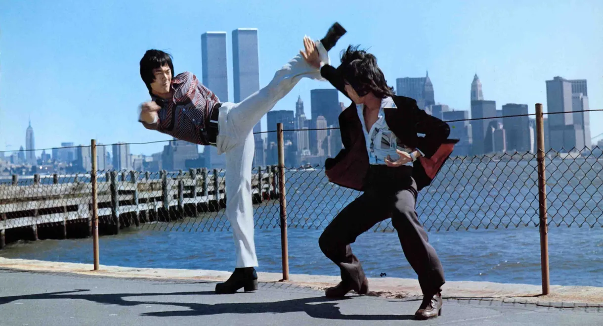 Bruce Lee: The Man, The Myth