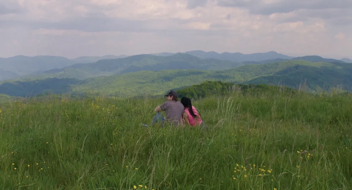 Do You Say What You Mean?