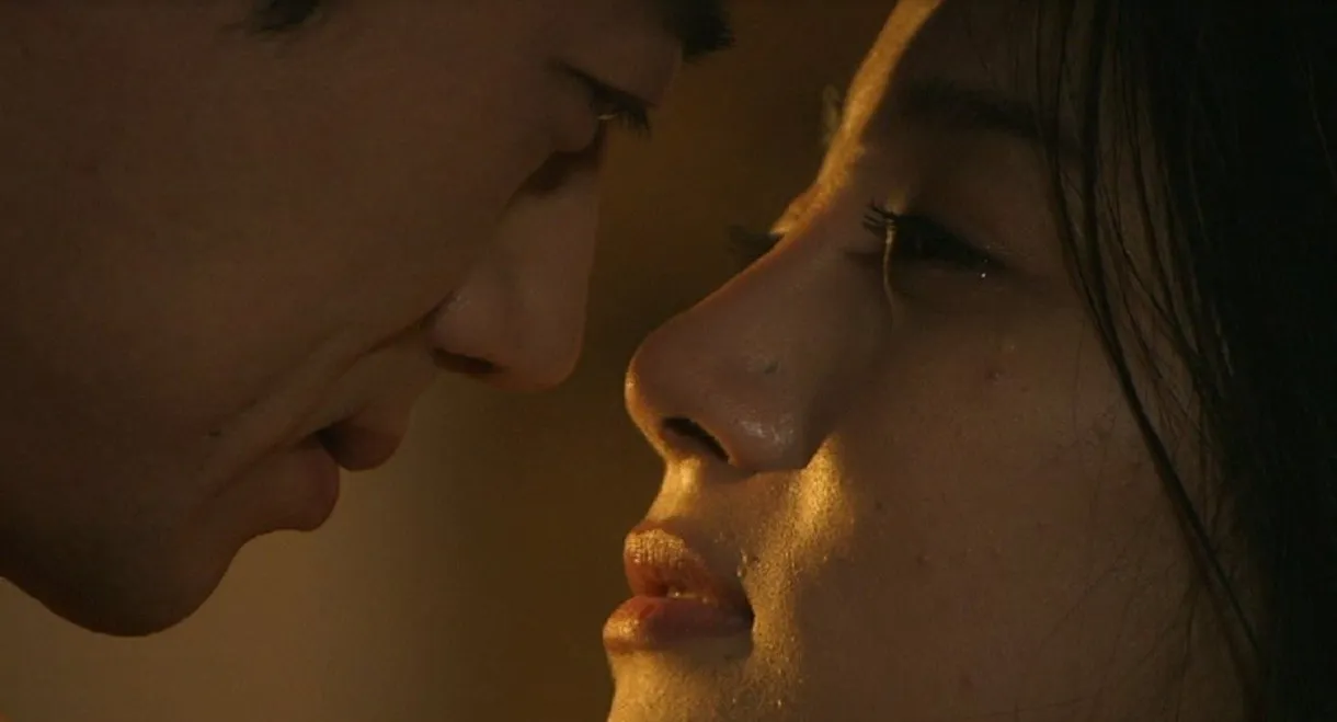 My Brother's Wife 3: The Woman Downstairs