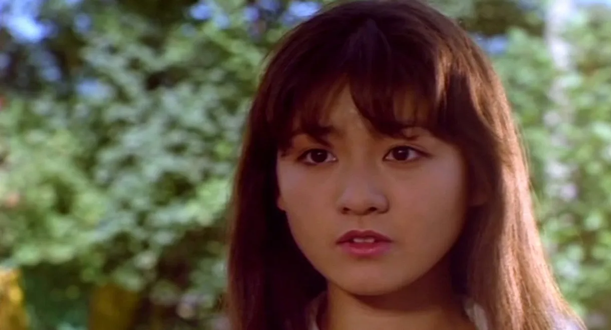 Do You Like Afternoons After a Storm?