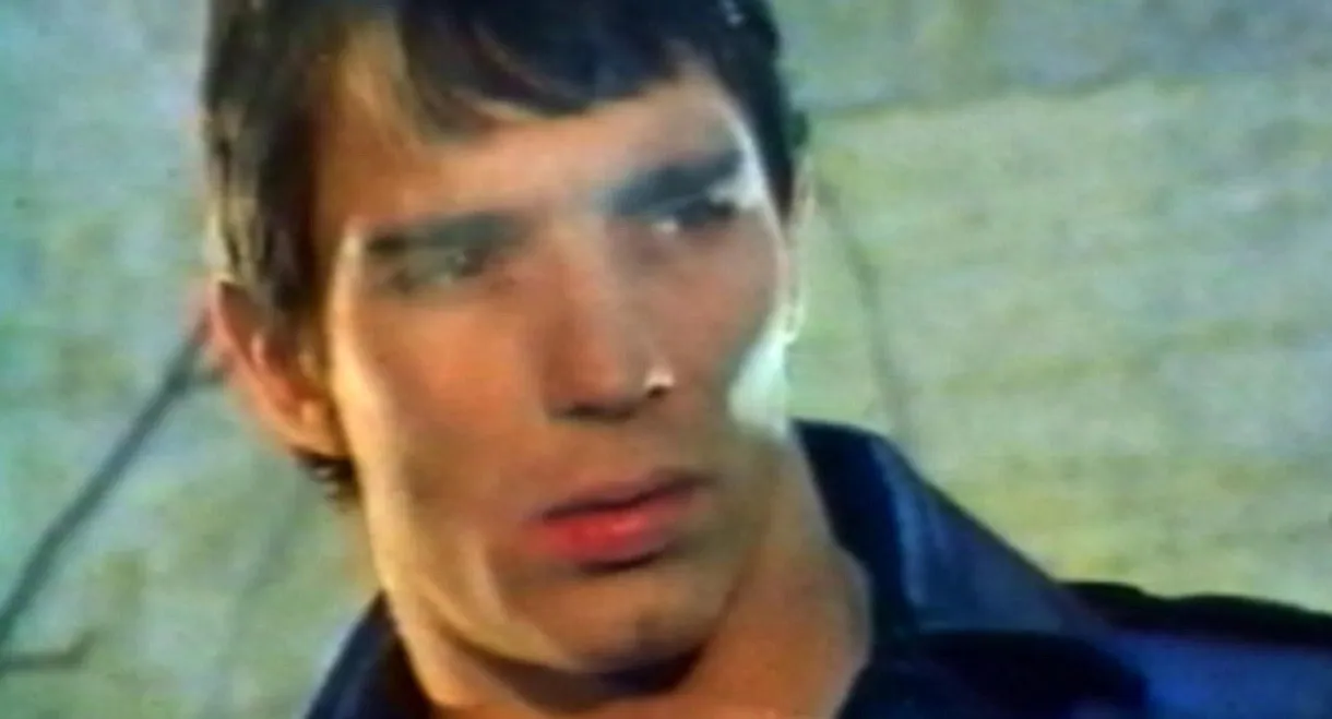 Mondo Homo: Inquiry Into 70's Gay French Porn